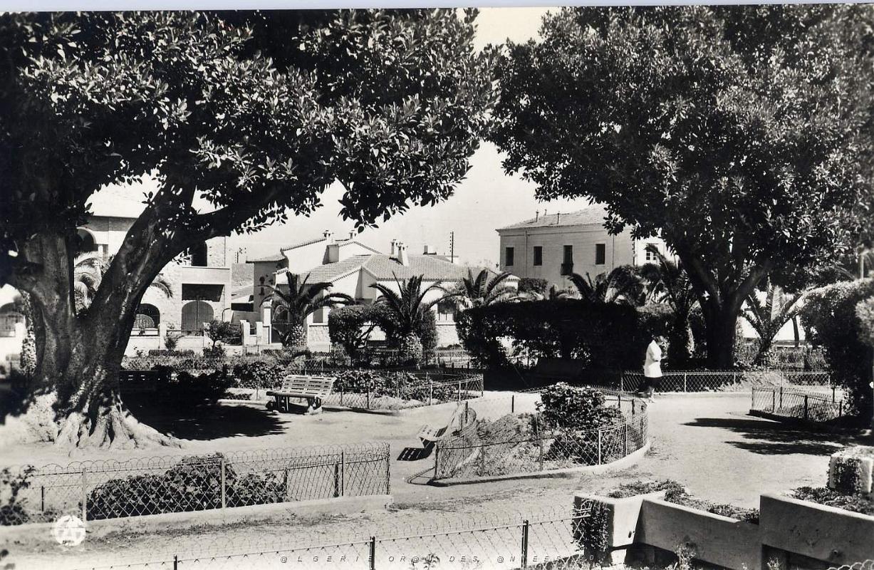 Relizane 504- Jardin public COLLECTION DES AMIS DE ND DE SANTA CRUZ.jpg